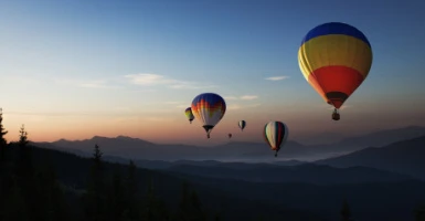 Banner Ausbildungs- & Praxislehrgänge